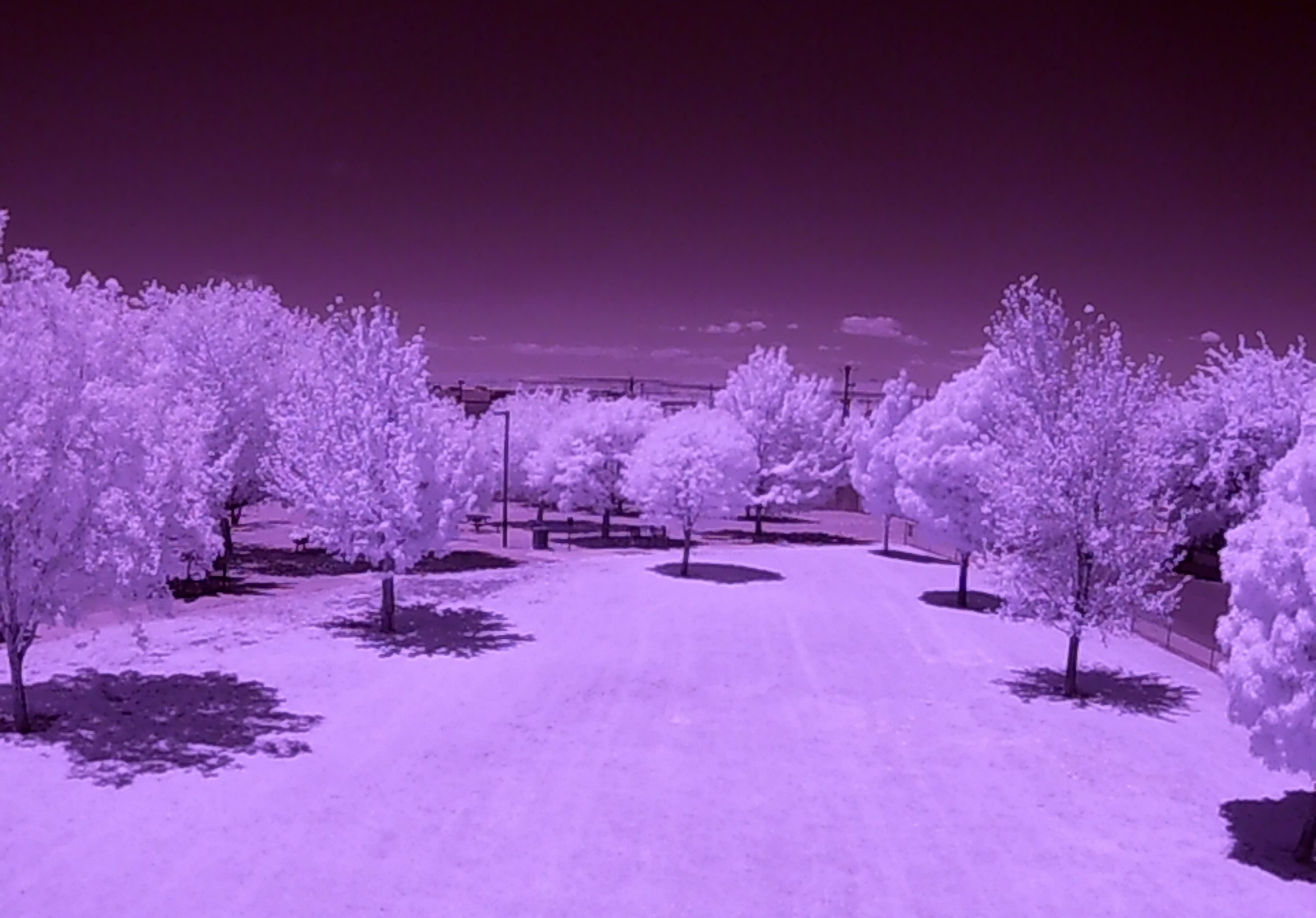 Bel-Air park in Albuquerque, NM, facing west, photographed with the IR modified Holystone F181G camera