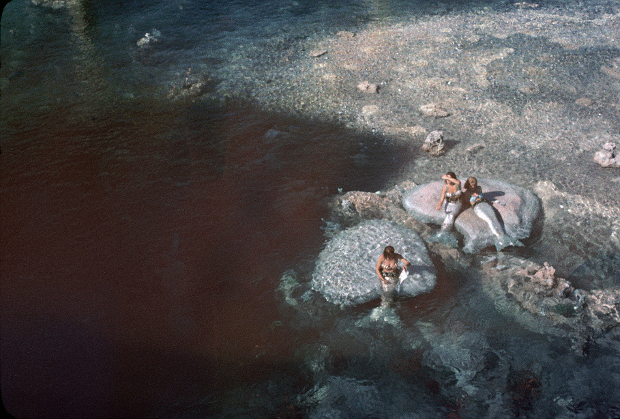 Mermaids basking on a rock in the Submarine Voyage